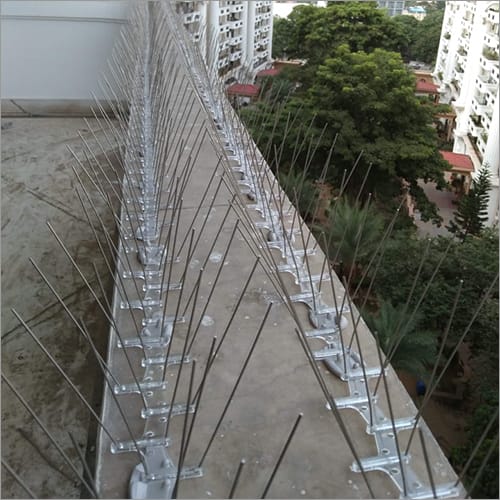 Bird Spike Installation in Kolkata | Ultra Safe Solution